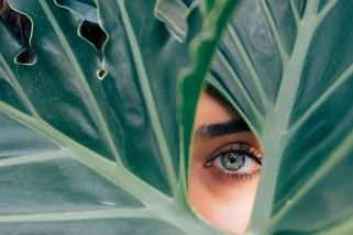 The Ultimate Guide to 4 Skin Types