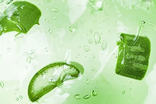 Aloe Vera, čudo od biljke